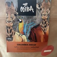   at ODIBA in Gelsenkirchen