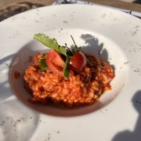 red risotto  at Platanus Bar & Food in Kotor
