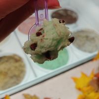 Mint Chip: Pretty good, I'd recommend if you like. Mint chocolate chip at Happiness Cafe in San Jose