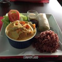 Yellow curry at Vegan Plate in Chicago