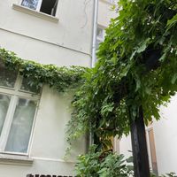 Beautiful flowers  at Vielfalter in Berlin