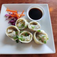 Vegetable Dumplings at Thai Origin in Allentown