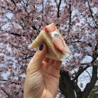 Strawberry sandwich at Asakara Good Store in Osaka