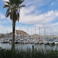  at Restaurant Dársena in Alicante