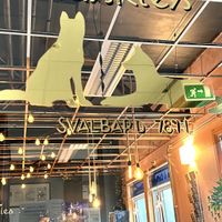   at Café Huskies in Longyearbyen