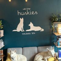   at Café Huskies in Longyearbyen