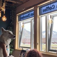   at Café Huskies in Longyearbyen