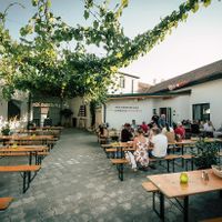  at Das Weinstein - Weingut Bischof in Nappersdorf