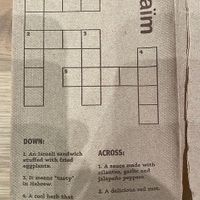 napkin crossword puzzle at Taïm in Florham Park