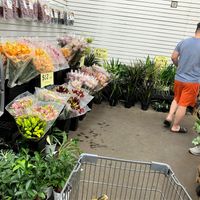  at Produce Junction in Bensalem