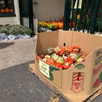  at Produce Junction in Hatboro