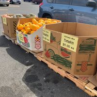  at Produce Junction in Hatboro