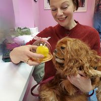  at Cream Dream in London