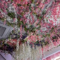 Decorated ceiling   at Cream Dream - Covent Garden in London