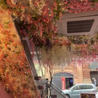   at Cream Dream - Covent Garden in London