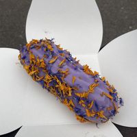 Blueberry lavender dessert   at Cream Dream in London