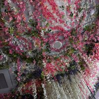   at Cream Dream in London