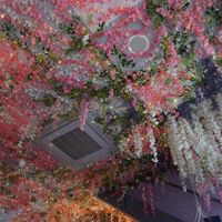  at Cream Dream in London