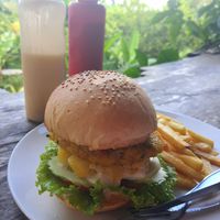  at Ronnie's Organic Coconut Garden in Koh Chang