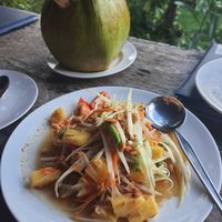  at Ronnie's Organic Coconut Garden in Koh Chang