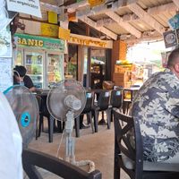  at Ronnie's Organic Coconut Garden in Koh Chang