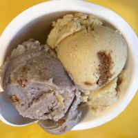 Açai and Pumpkin Spice at Little Baby's Ice Cream in Philadelphia
