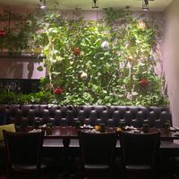  at Alter House Restaurant & Bar in Clarks Summit