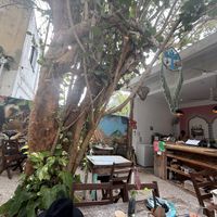   at El Meraki in Isla Mujeres