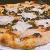   at PLANTA in Brooklyn