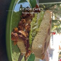   at The Kit Fox Cafe in Tecopa