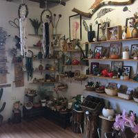 succulents at Verdecora in Cajamarca