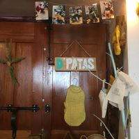 taking care of street's dog at Verdecora in Cajamarca