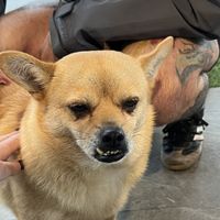   at Trang An Riverside Garden in Ninh Binh