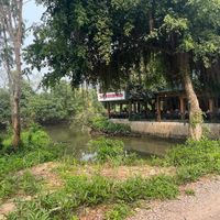  at Trang An Riverside Garden in Ninh Binh