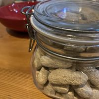   at Brew Inc. in Larnaca