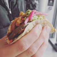 Shredded Ch*kn Fajita taco 🌮 at Antojitos - Edinburgh Street Food in Edinburgh