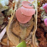 Jalapeño tofu taco  at Antojitos - Edinburgh Street Food in Edinburgh