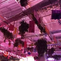 Atmosphere at Antojitos - Edinburgh Street Food in Edinburgh