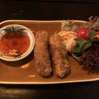 Starters; veggies rice paper rolls, fried  at Du Du Vietnamese Cuisine - Sushi & Grill Restaurant in Dietikon