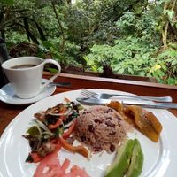 C at Raices in Puntarenas