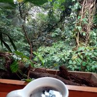  at Raices in Puntarenas