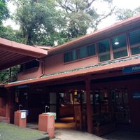  at Raices in Puntarenas