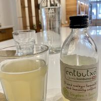 CatButxa llimona ginger at Bionectar in Girona