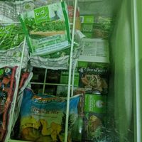 frozen products at Green Store in Athens