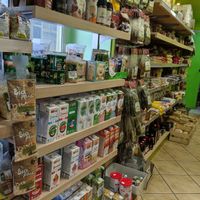 interior at Green Store in Athens