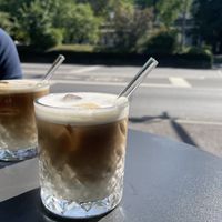   at deer in Heidelberg