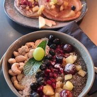  at deer in Heidelberg