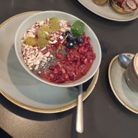  at deer in Heidelberg