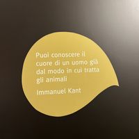   at Ops Cucina Mediterranea in Rome