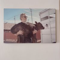 Nice picture of a animals hero at Ops Cucina Mediterranea in Rome